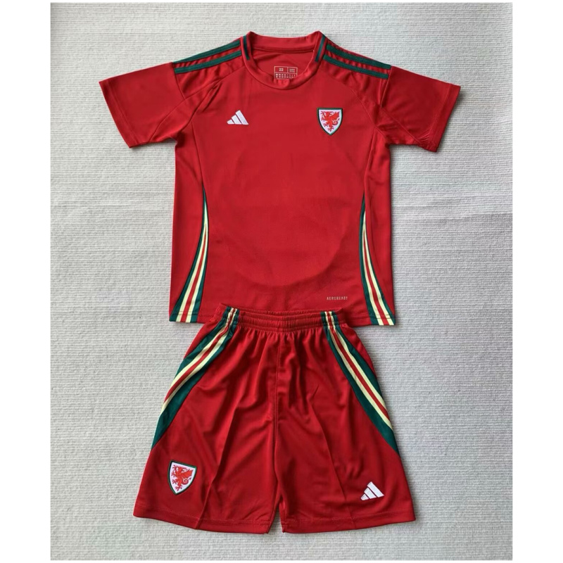 Maillot Domicile Enfants Pays de Galles 2024