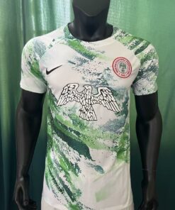 Maillot d’entraînement court du Nigeria Vert 2023/24