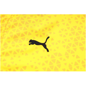 Tenue d'entraînement courte de Borussia Dortmund Jaune 2023/24