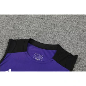 Ensemble d'entraînement court Allemagne violet 2024