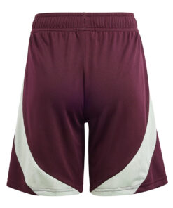 Shorts Domicile Mexique 2024