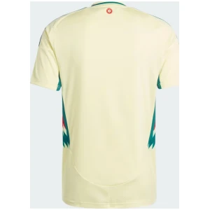 Maillot extérieur du Pays de Galles 2024