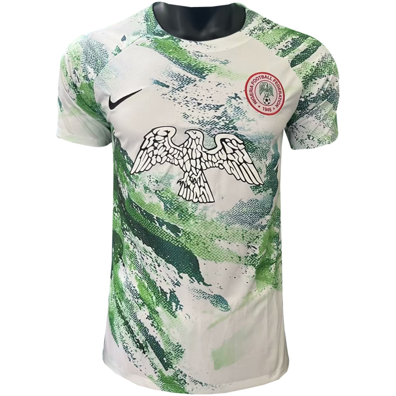 Maillot d’entraînement court du Nigeria Vert 2023/24