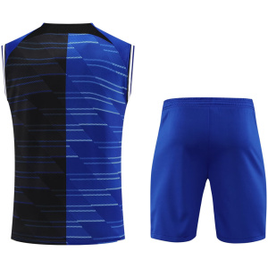 Maillot sans manches de l’Inter Milan Bleu 2024/25