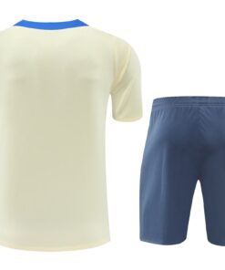 Tenue d’entraînement courte Inter Milan Jaune 2024/25