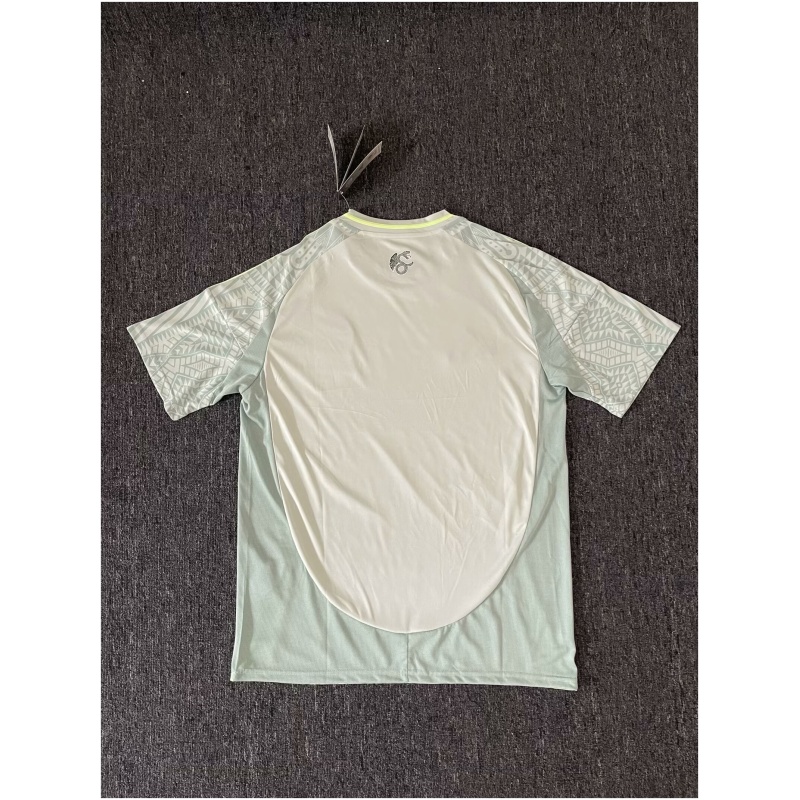 Maillot extérieur du Mexique 2024
