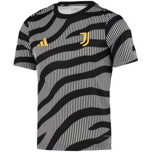 Maillot d’entraînement court Juventus Gris 2023/24