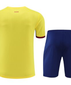 Tenue d’entraînement courte de Barcelone Jaune 2023/24