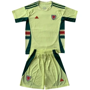 Maillot extérieur pour enfants du pays de Galles 2024