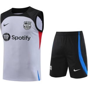 Combinaison Singlet Barcelone Gris Clair 2023/24