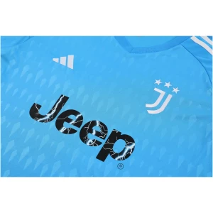 Maillot de Gardien de But Juventus Bleu Manches Longues 2023/24