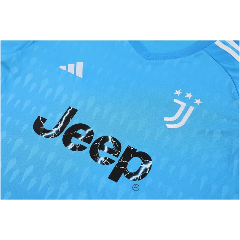 Maillot de Gardien de But Juventus Bleu Manches Longues 2023/24