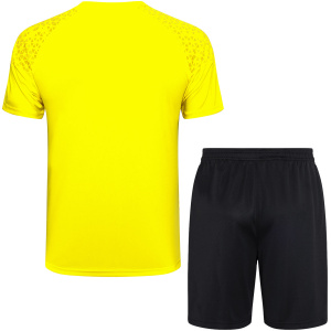 Tenue d’entraînement courte de Borussia Dortmund Jaune 2023/24