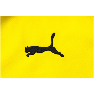 Survêtement Borussia Dortmund Hoodie Sweat + Pantalon Entraînement Jaune 2023/24