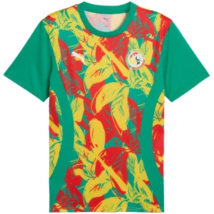 Maillot vert d’avant-match du Sénégal 2025