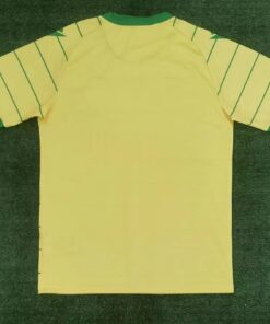 FC Nantes maillot 2023/24-Haut