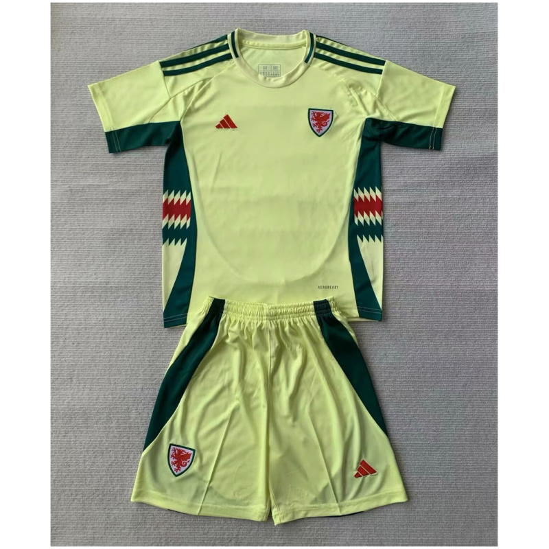 Maillot extérieur pour enfants du pays de Galles 2024