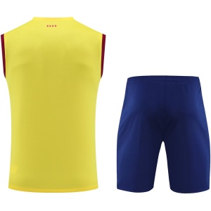 Combinaison de Singlet Barcelone Jaune 2023/24