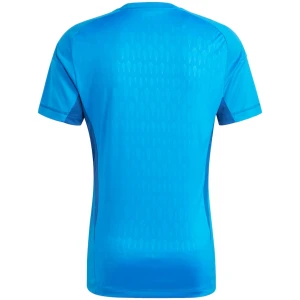 Maillot de Gardien de But Bleu de la Juventus 2023/24