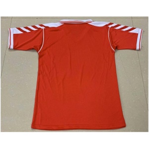 Maillot Domicile Rétro Danemark 1998