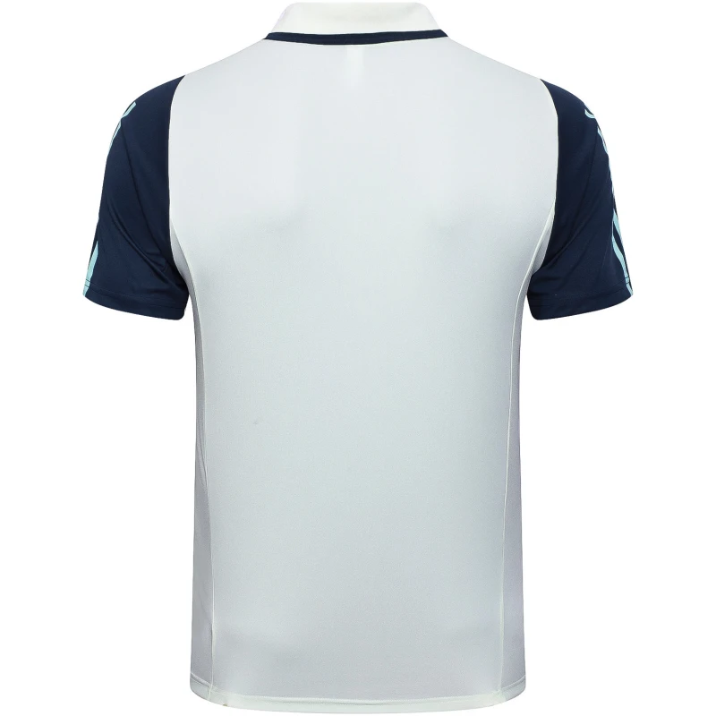 Maillot Polo Ajax Vert Clair 2023/24