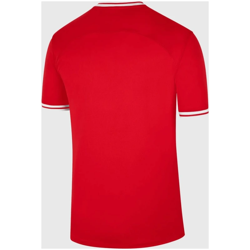 Maillot extérieur de la Pologne pour la Coupe du Monde de la FIFA 2022 au Qatar