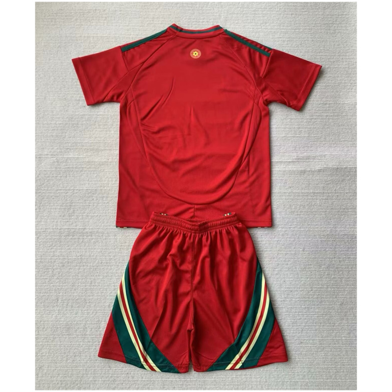 Maillot Domicile Enfants Pays de Galles 2024