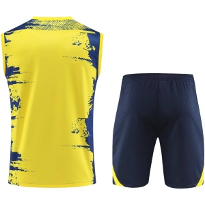 Maillot de corps Barcelone Jaune 2023/24