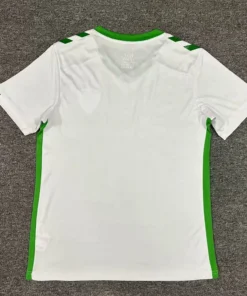AS Saint-Étienne Maillot foot 2024/25 Extérieur-Haut