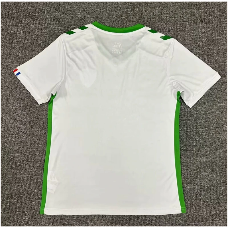AS Saint-Étienne Maillot foot 2024/25 Extérieur-Haut
