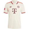 Maillot Third Authentique Bayern Munich 2024/25 – joueur