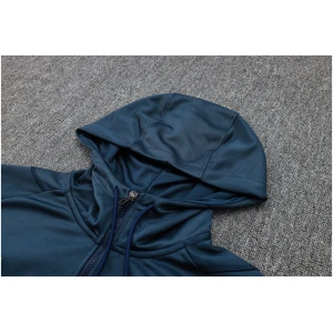 Sweat à capuche Ajax Royal 2023/24