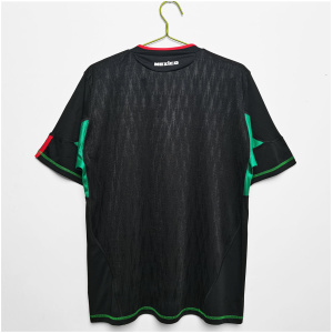 Maillot extérieur rétro du Mexique 2010
