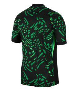 Maillot Domicile du Nigeria 2024
