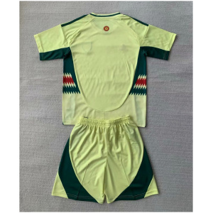 Maillot extérieur pour enfants du pays de Galles 2024