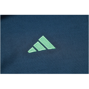 Sweat à capuche Ajax Royal 2023/24