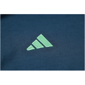 Sweat à capuche Ajax Royal 2023/24