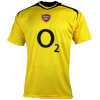 Maillot extérieur rétro d’Arsenal 2005/06