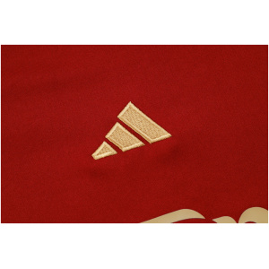 Maillot d'entraînement court Arsenal Bordeaux 2023/24