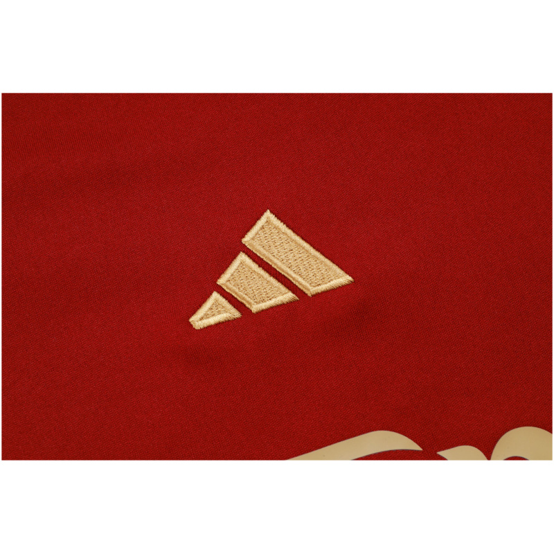 Maillot d’entraînement court Arsenal Bordeaux 2023/24