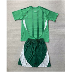 Maillot domicile pour enfants de l'Irlande du Nord 2024