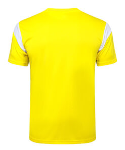 Maillot d’entraînement court Borussia Dortmund Jaune 2023/24