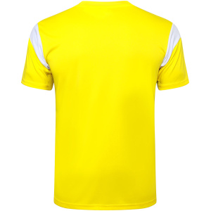 Maillot d’entraînement court Borussia Dortmund Jaune 2023/24