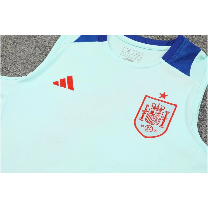 Tenue d’entraînement courte Espagne vert clair 2024