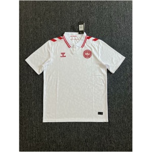 Maillot extérieur du Danemark 2024
