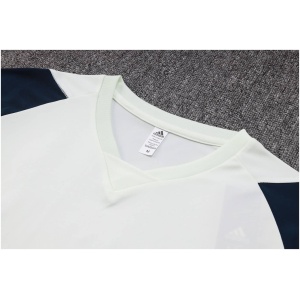 Maillot d'entraînement court Ajax Vert Mist 2023/24