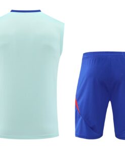 Tenue d’entraînement courte Espagne vert clair 2024