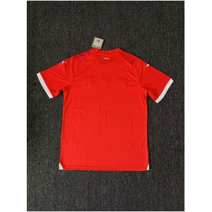Maillot domicile de la Suisse 2024