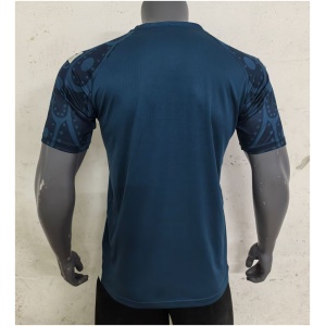 Maillot d'entraînement gris court du Mexique 2024