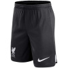 Shorts Extérieurs Liverpool 2023/24